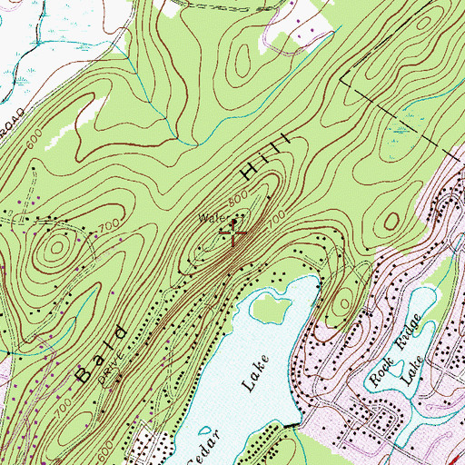 Topographic Map of Bald Hill, NJ