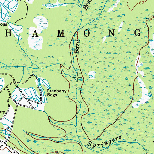 Topographic Map of Bard Branch, NJ