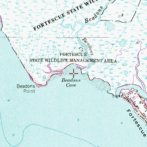 Topographic Map of Beadon Cove, NJ