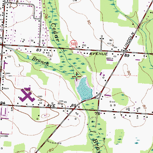 Topographic Map of Bear Branch, NJ