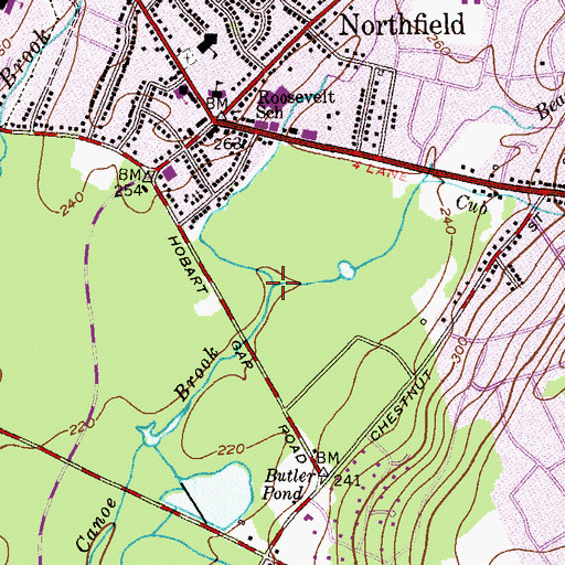 Topographic Map of Bear Brook, NJ