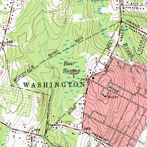 Topographic Map of Bear Swamp, NJ