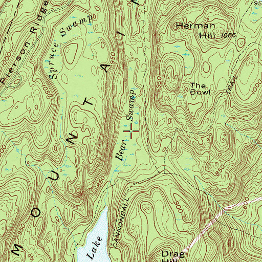 Topographic Map of Bear Swamp, NJ