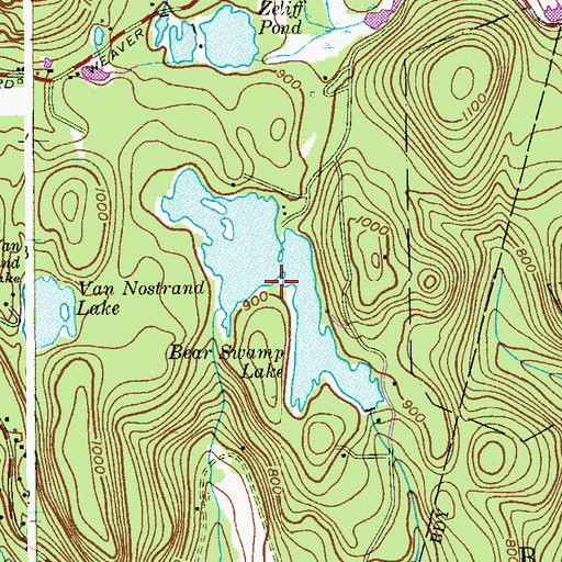 Topographic Map of Bear Swamp Lake, NJ