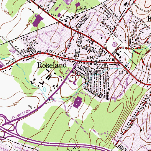 Topographic Map of Riker Hill, NJ