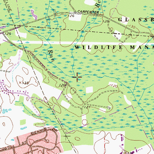 Topographic Map of Beaverdam Branch, NJ