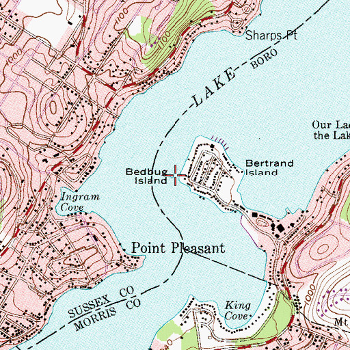 Topographic Map of Bedbug Island, NJ