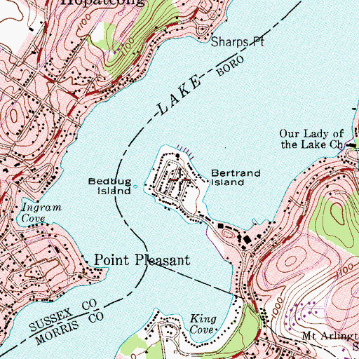 Topographic Map of Bertrand Island, NJ