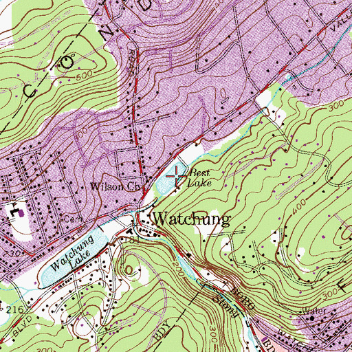 Topographic Map of Best Lake, NJ