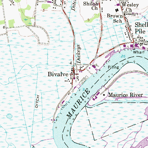 Topographic Map of Bivalve, NJ