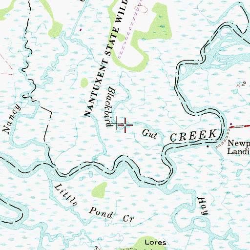 Topographic Map of Blackbird Gut, NJ