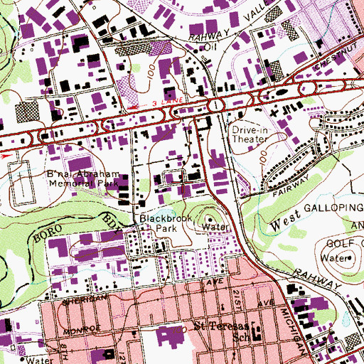 Topographic Map of Blackbrook Park, NJ