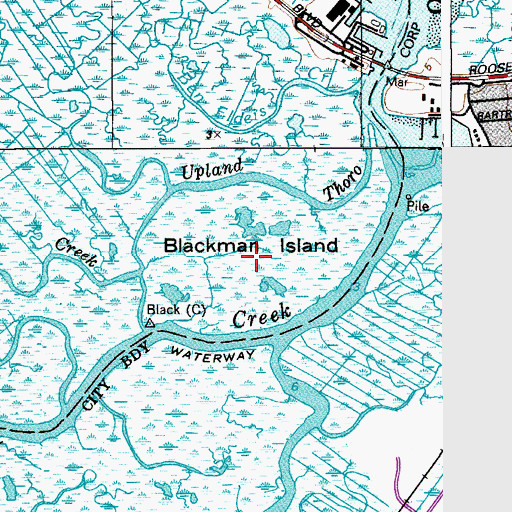 Topographic Map of Blackman Island, NJ