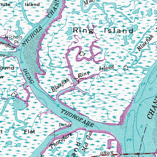 Topographic Map of Ring Island Creek, NJ