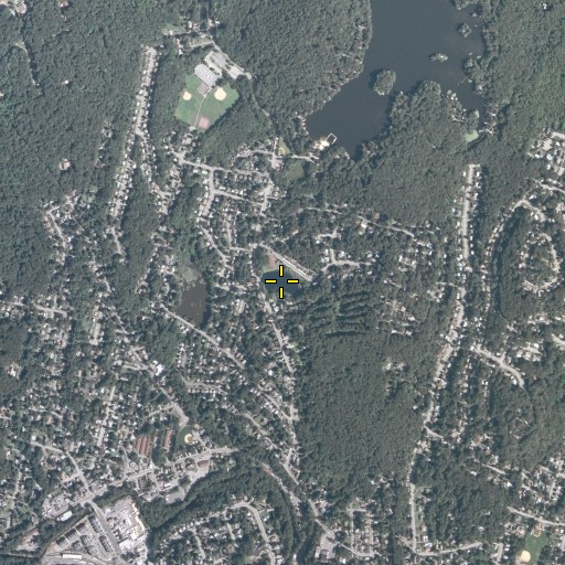 Aerial/Satellite Image of Bogues Pond, NJ