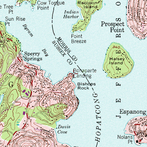 Topographic Map of Bonaparte Landing, NJ