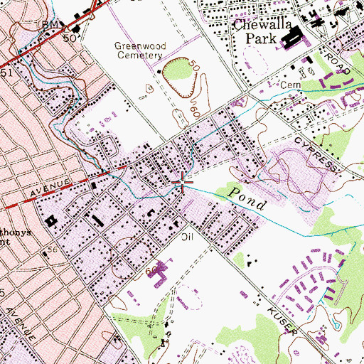 Topographic Map of Branch of Pond Run, NJ
