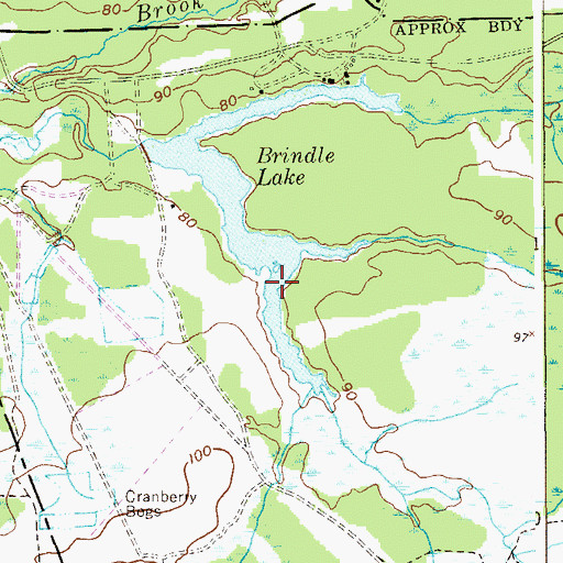 Topographic Map of Brindle Lake, NJ