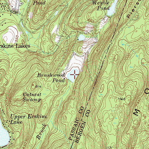 Topographic Map of Brushwood Pond, NJ
