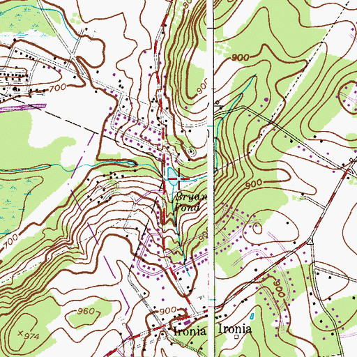 Topographic Map of Bryant Pond, NJ