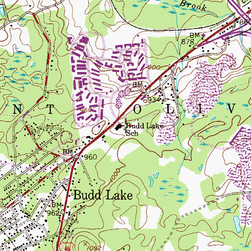 Topographic Map of Budd Lake School, NJ