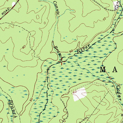 Topographic Map of Canute Branch, NJ