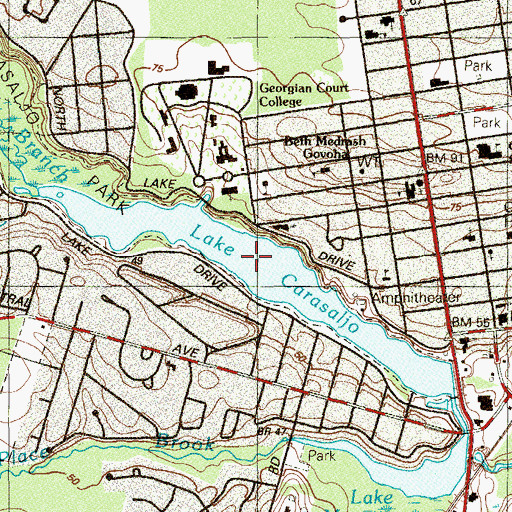 Topographic Map of Lake Carasaljo, NJ