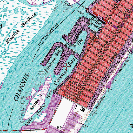 Topographic Map of Carnival Bay, NJ