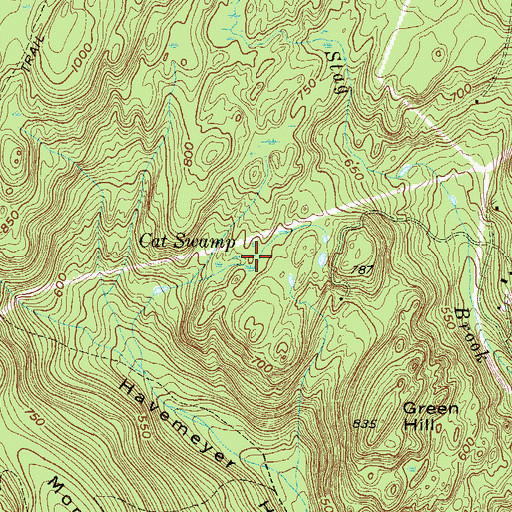 Topographic Map of Cat Swamp, NJ