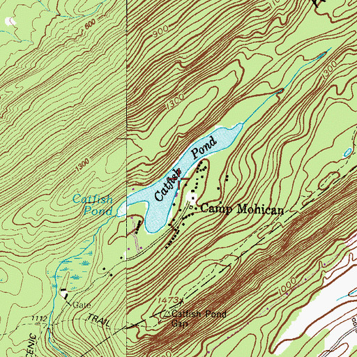 Topographic Map of Catfish Pond, NJ