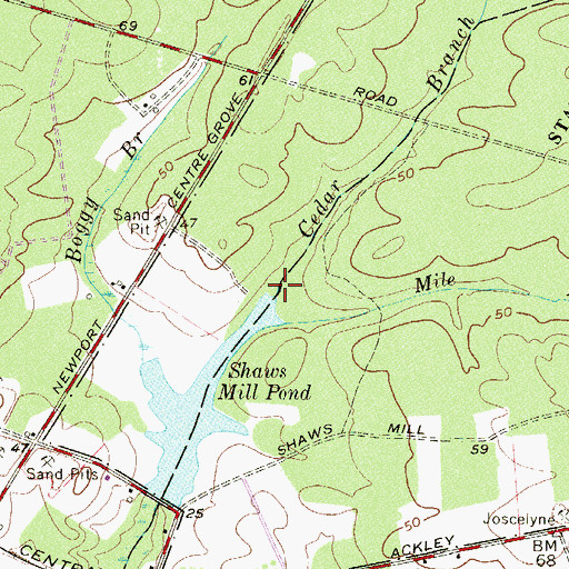 Topographic Map of Cedar Branch, NJ