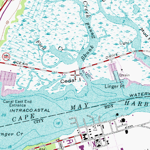 Topographic Map of Cedar Island, NJ