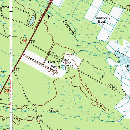 Topographic Map of Cedar Pond, NJ