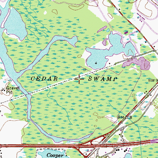 Topographic Map of Cedar Swamp, NJ