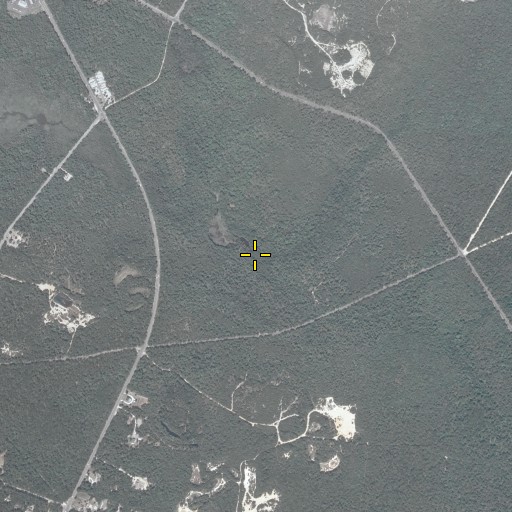 Aerial/Satellite Image of Clear Run, NJ