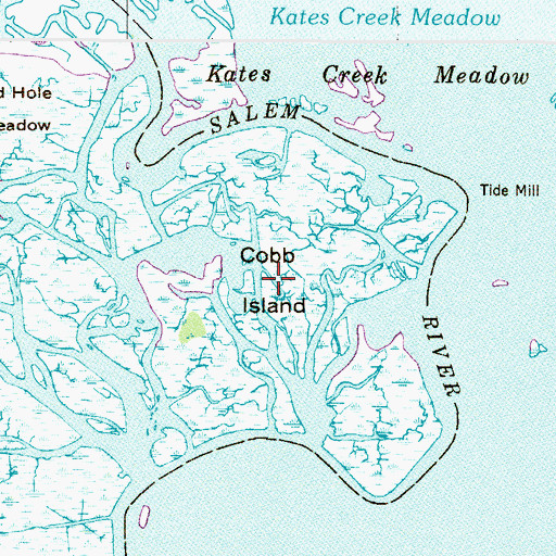 Topographic Map of Cobb Island, NJ