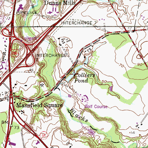 Topographic Map of Colliers Pond, NJ