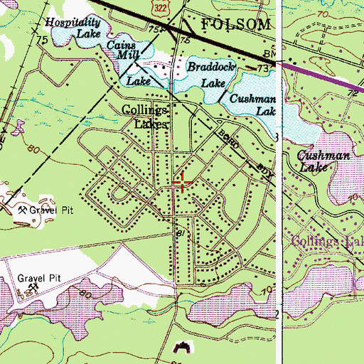Topographic Map of Collings Lakes, NJ