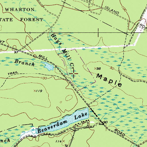 Topographic Map of Cooper Branch, NJ