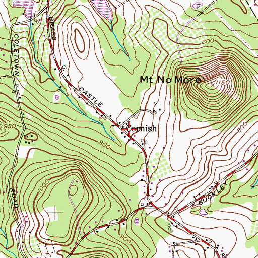 Topographic Map of Cornish, NJ