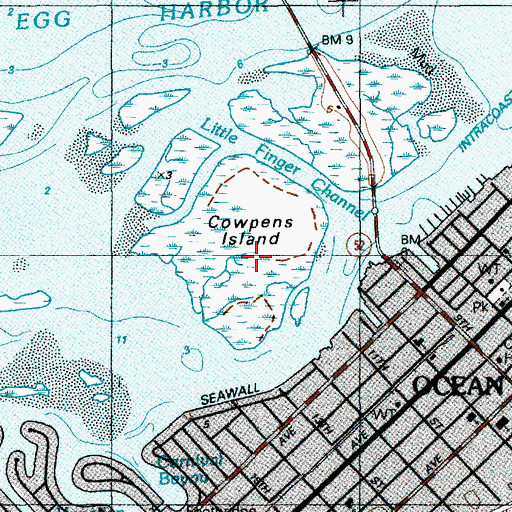 Topographic Map of Cowpens Island, NJ