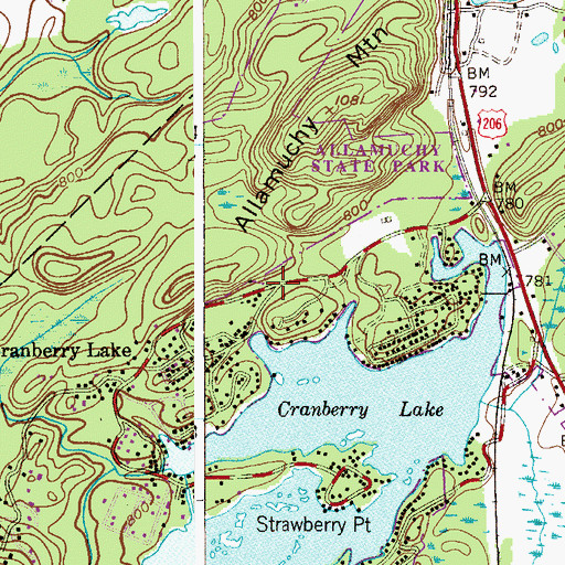 Topographic Map of Cranberry Lake, NJ