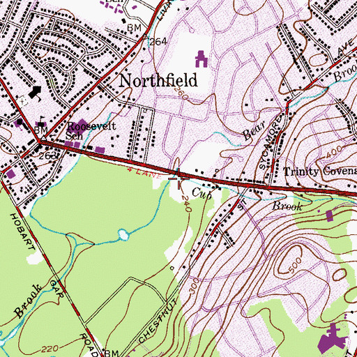 Topographic Map of Cub Brook, NJ