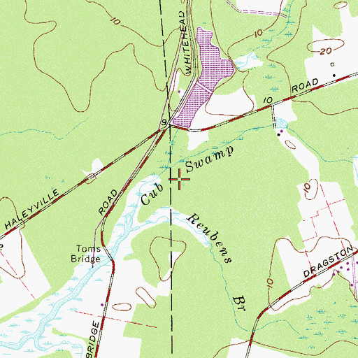 Topographic Map of Cub Swamp, NJ