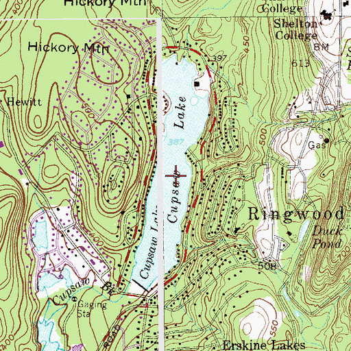 Topographic Map of Cupsaw Lake, NJ
