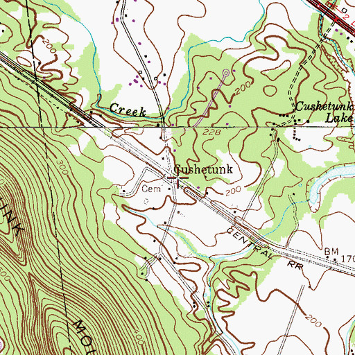 Topographic Map of Cushetunk, NJ