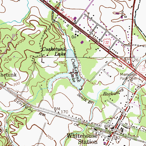 Topographic Map of Cushetunk Lake, NJ