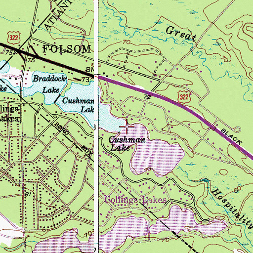Topographic Map of Cushman Lake, NJ