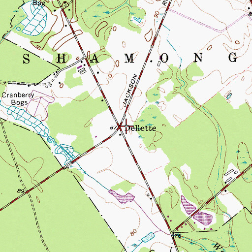 Topographic Map of Dellette, NJ