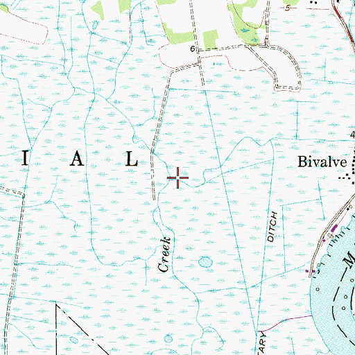 Topographic Map of Dickeys Ditch, NJ